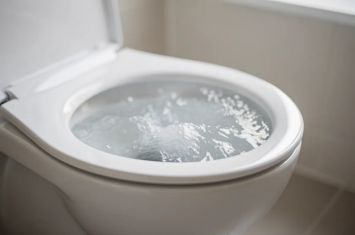 Vaso sanitário entupido