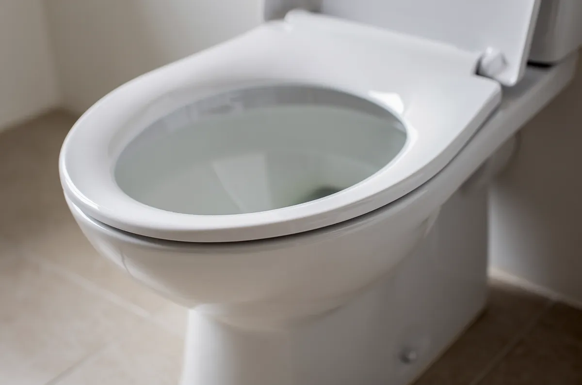 Vaso sanitário entupido